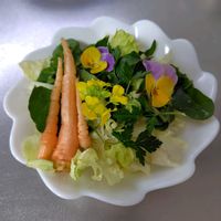 ルッコラ,菜の花,イタリンパセリ, エディブルフラワー,3色すみれの画像