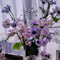 カスミソウ,サイネリア,スイトピー,青い花で春浪漫2026の画像