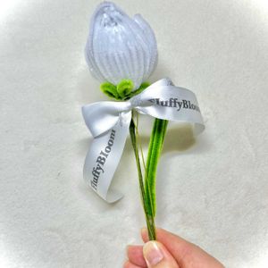 チューリップ,手作り,チャレンジ,観葉植物を楽しむ,植物大好きの画像