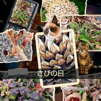 ホトトギス,ユキノシタ,あずきミュージアム 敷地内,GSのみなさんに感謝♡,繋がりに感謝ღღの画像