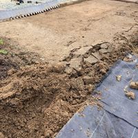 家庭菜園初心者,家庭菜園,畑,庭の画像