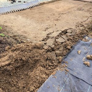 家庭菜園初心者,家庭菜園,畑,庭の画像