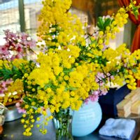 ミモザ,ネギ,キャベツ,ネギと春キャベツ♡,世界中の人々が平穏に暮らせますようにの画像