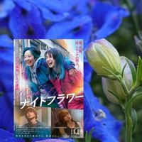 デルフィニウム,青い花,いつもありがとう,映画の日,毎月1日はシネマと植物と。の画像