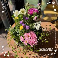 ラナンキュラス,ワイヤープランツ,スカビオサ ブルーバルーン,コンパクトアネモネ 絢花,イベリス ブライダルブーケの画像