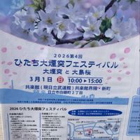 ラナンキュラス,ラナンキュラス,パンジー,パンジー,クモマグサの画像