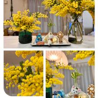 ミモザ,ミモザ,花瓶,今日の一枚,春到来！の画像