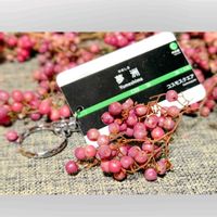 ペッパーベリー,ペッパーベリー,ペッパーベリー,ドライフラワー,小さな実の画像