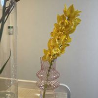 シンビジウム,切り花,お花屋さん,花のある暮らし,ガラスの花瓶の画像