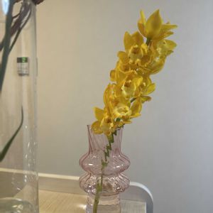 シンビジウム,切り花,お花屋さん,花のある暮らし,ガラスの花瓶の画像