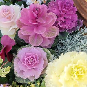 エントランス,お出かけ先の画像