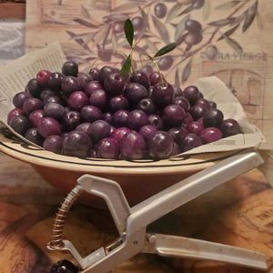 オリーブ,手作り,初めて,花のある暮らし,秋の実の画像