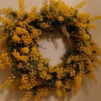 ミモザ,リースの画像