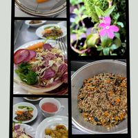 カモミール,カモミール,ツルコザクラ,ツルコザクラ,ハーブの画像