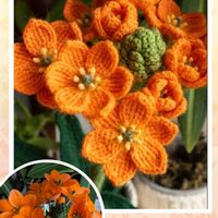 オーニソガラム,ビオラ,プリムラ　ジュリアン,プリムラ　ジュリアン,バラ咲ジュリアン マスカットのジュレの画像