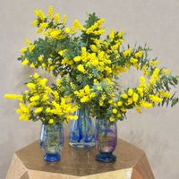ミモザ,花瓶の画像