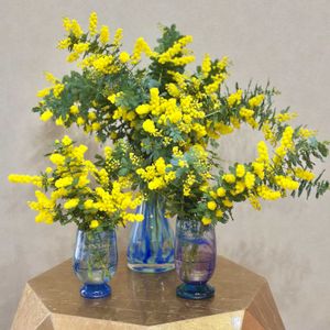 ミモザ,花瓶の画像