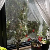 ボケ,リビング,小さな幸せ,優しい気持ち,穏やかな毎日の画像