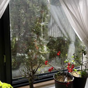 ボケ,リビング,小さな幸せ,優しい気持ち,穏やかな毎日の画像