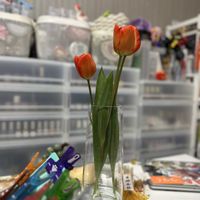 チューリップ,切り花,お花屋さん,花のある暮らし,ガラスの花瓶の画像