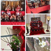 オオイヌノフグリ,キクザキイチゲ,ザゼンソウ,ホトケノザ,ホトケノザの画像