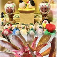 ハナキリン,多肉植物,ネオレゲリア,植物のある暮らし,ひな祭りの画像