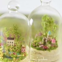箱庭,ワークショップ作品,くるみ*さんのワークショップで作ったミニガーデン,くるみ*さんのボトルガーデン,くるみ*ガーデンの世界の画像