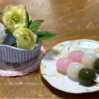 クリスマスローズ,お花のある暮らし,お花は癒し,繋がりに感謝,楽しいひな祭り♡の画像