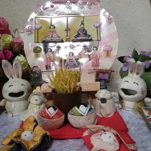 リプサリス,リプサリス 珊瑚,リプサリス・サンゴ,多肉植物,多肉大好きの画像