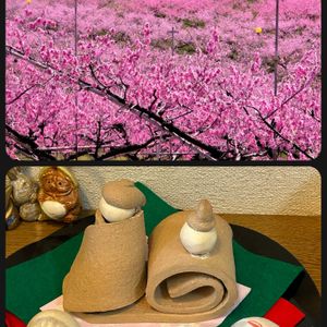 モモ,ラウリンゼ,沙羅姫牡丹,ゼラニューム,桃の花の画像