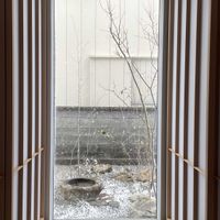 シャリンバイ,ドウダンツツジ,アオダモ,イロハモミジ,ハクサンボクの画像