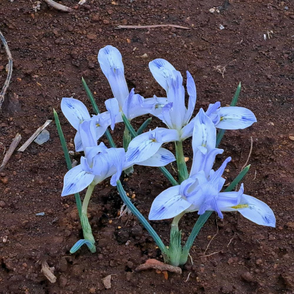 エリィさんの港の見える丘公園への投稿