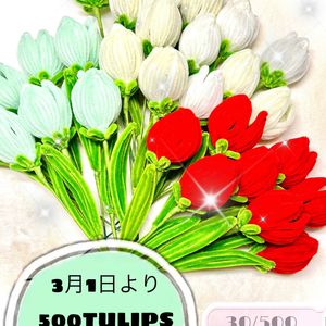 チューリップ,手作り,チャレンジ,観葉植物を楽しむ,植物大好きの画像