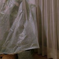 モスポール,観葉植物,インドアグリーン,みどりのある暮らし,みどりに癒されるの画像