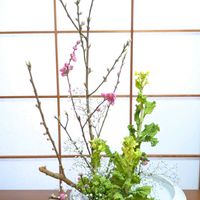 カスミソウ,キンギョソウ,サクラ,サクラ,スターチスの画像