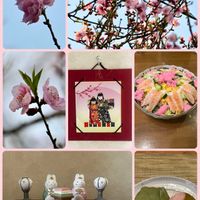 ウメ,キクザキイチゲ,キジムシロ,クリスマスローズ,サンシュユの画像