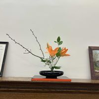 花のある暮らし,緑のある暮らし,手作り和菓子,IKEBANA,アメリカ在住の画像