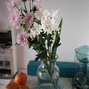 観葉植物,切り花,花瓶,花束,花のある暮らしの画像