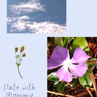 ニチニチソウ,庭先,スマホ撮影,いつもありがとう❤️,今を生きるの画像