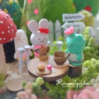 セダム,多肉,エケベリア,姫愁麗,姫秋麗の画像