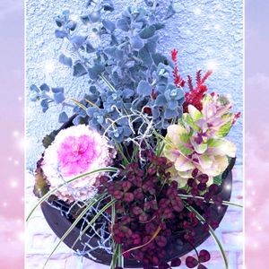 プラチーナ,バロータ,カルーナ ブルガリス,カレックス エヴェレスト,クローバーティント・ワインの画像