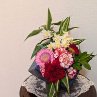 ガーベラ,ドラセナ,スプレーカーネーション,ルスカス,八重スイセンの画像