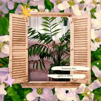 イオノプシジウム,テーブルヤシ,テーブルヤシ,テーブルヤシ,観葉植物の画像