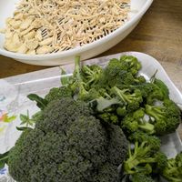 自家製野菜,家庭菜園,畑の画像