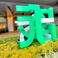 カレックス,コニファー,フィリフェラオーレア,ヘリクリサム シルバースノー,シルバーリーフの画像