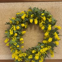 ミモザ,mimosa,ドライフラワー,リース,マメ科の画像