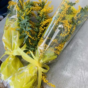 ミモザ,ビタミンカラー,黄色の花,小さな花束,❤️M.family❤️の画像