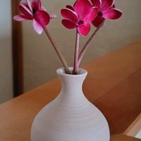 一輪挿し,かわいい♡,ありがとう♡,シクラメン♡,フェアリーピコの画像
