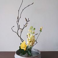 生け花,花のある暮らし,世界に平和を,こんな時こそ花を,sasukemama倶楽部の画像