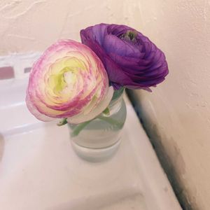 ラナンキュラス,ラナンキュラス,花瓶,切花,牛乳瓶の画像